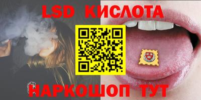 СК Новозыбков
