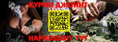 СК Новозыбков