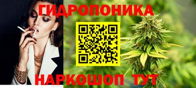 СК Новозыбков