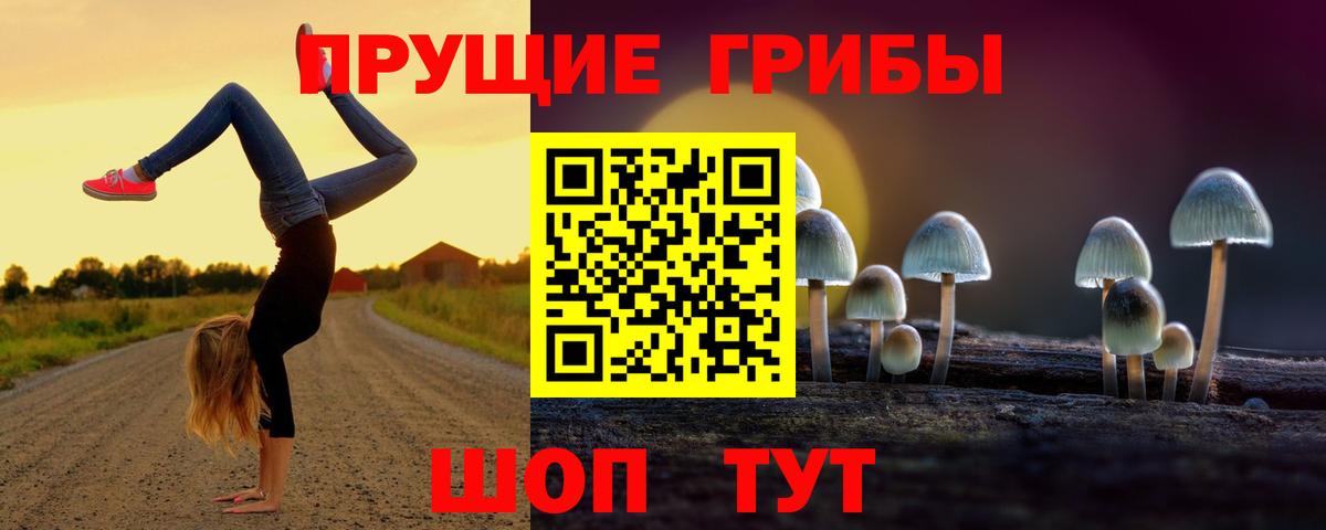 Галлюциногенные грибы Psilocybine cubensis Саки