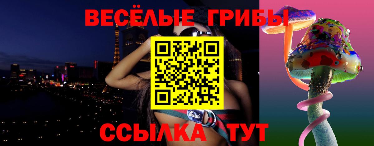 Галлюциногенные грибы прущие грибы  Вход с VPN  Саки 